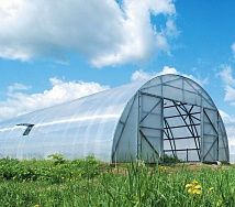 
            Теплица Фермерская 7,5 в г Пушкино