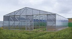 
            Теплица Фермерская 11,5 в г Пушкино